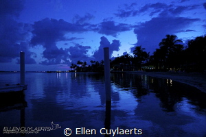 "Blue hour bliss" by Ellen Cuylaerts 